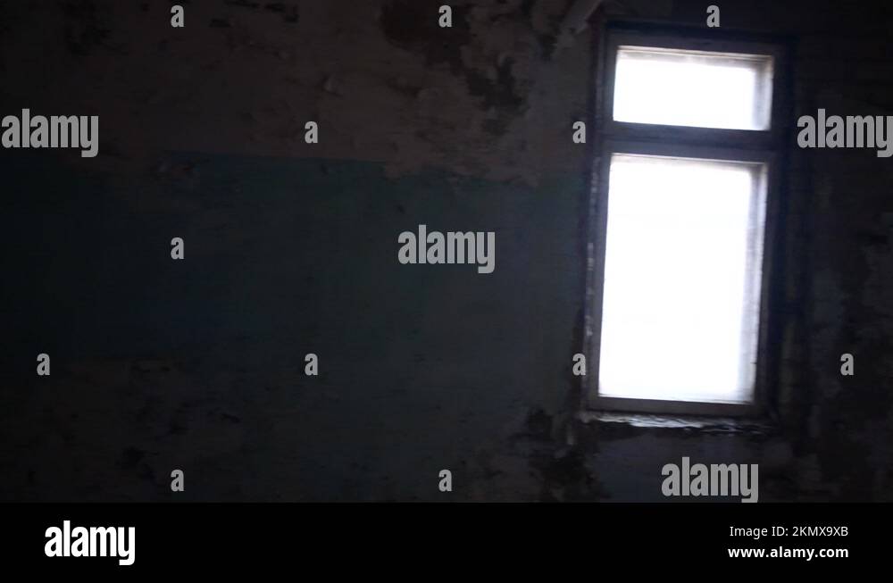 Chernobyl educational Stock Videos & Footage HD and 4K Video Clips