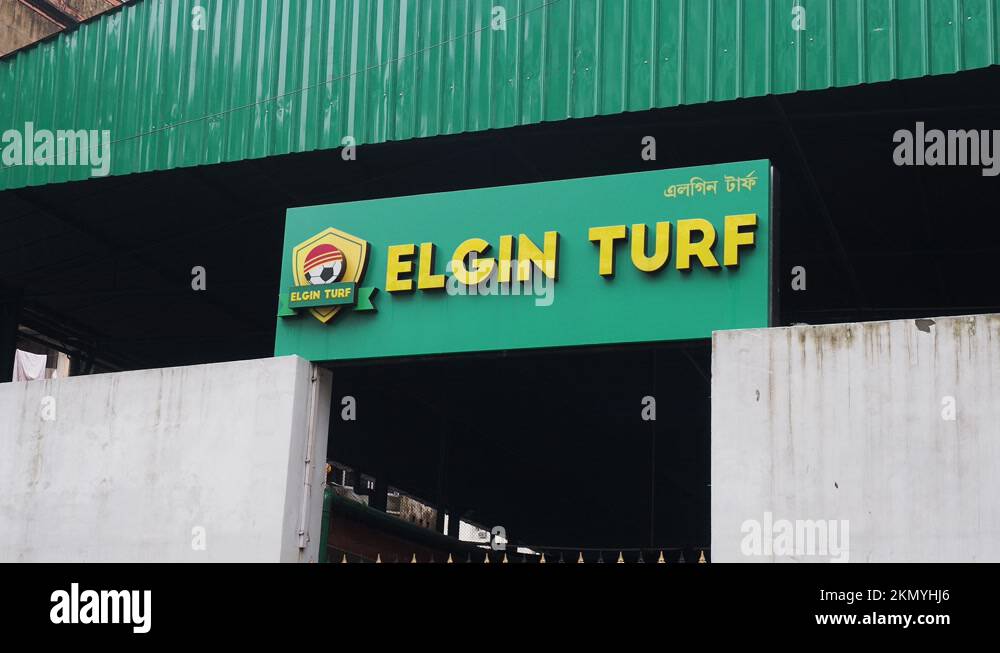 English turf Stock Videos & Footage - HD and 4K Video Clips - Alamy