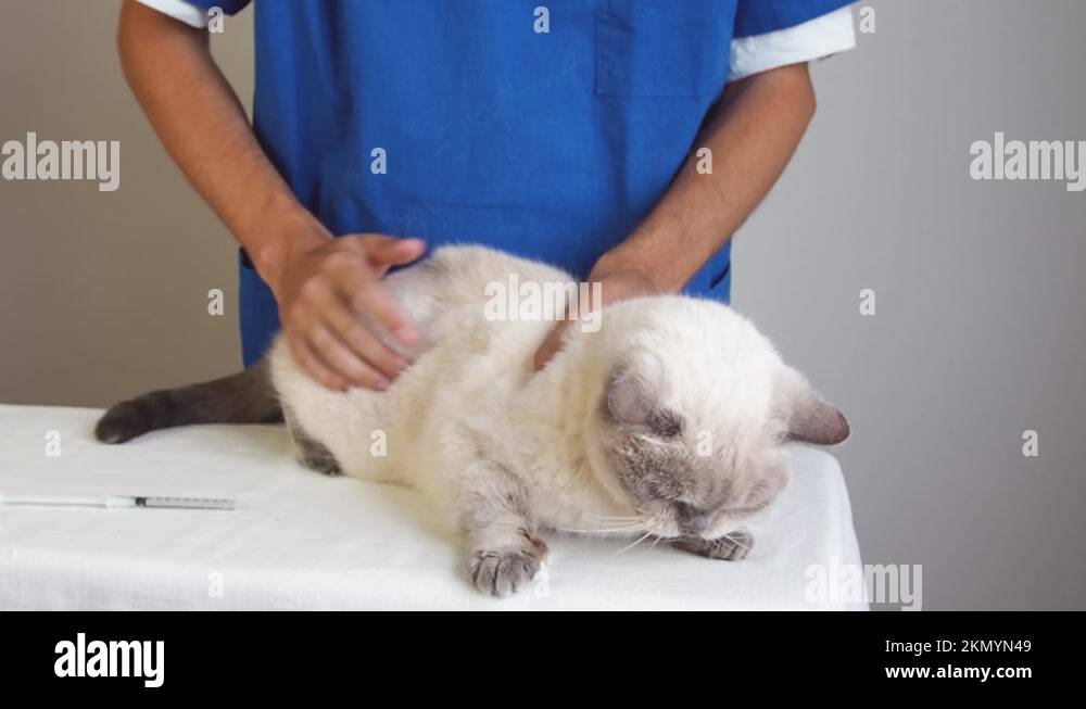 Ear syringe Stock Videos & Footage HD and 4K Video Clips Alamy