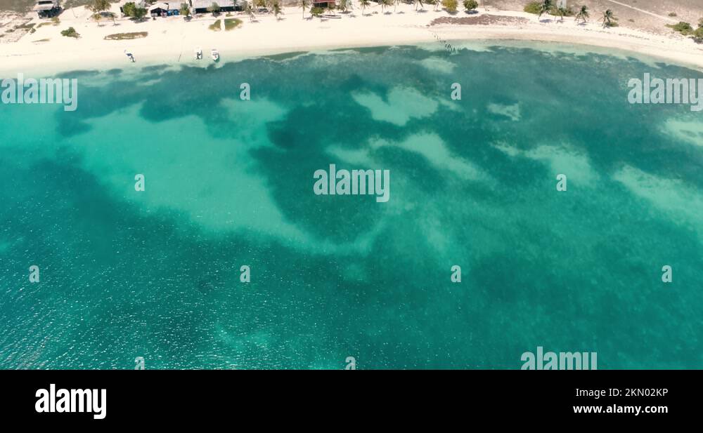 Biologystation Stock Videos & Footage HD and 4K Video Clips Alamy