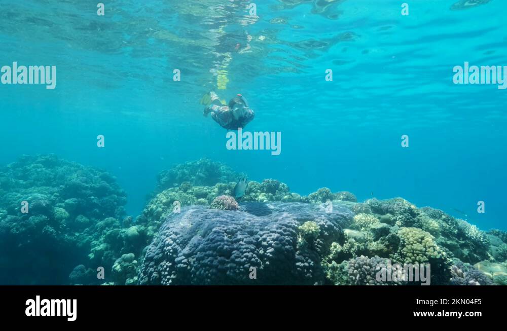 Slow motion, Woman snorkeler in diving equipment dives underwater and
