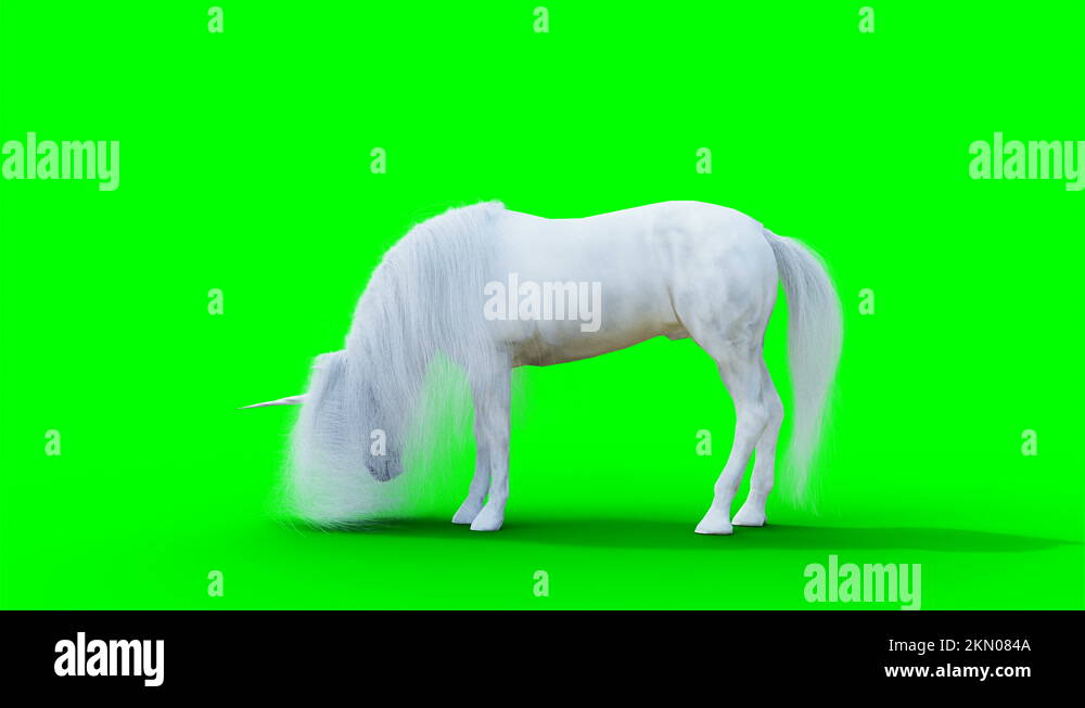 standing white magical unicorn. Green screen realistic animation Stock