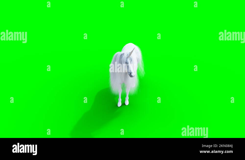 standing white magical unicorn. Green screen realistic animation Stock