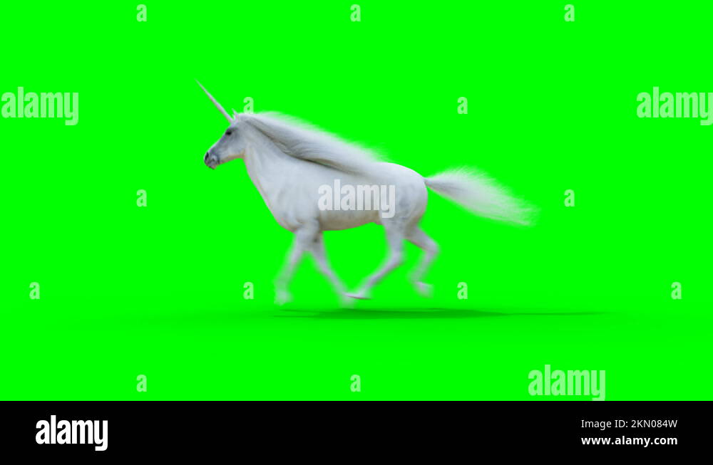 Runing white magical unicorn. Green screen realistic animation Stock