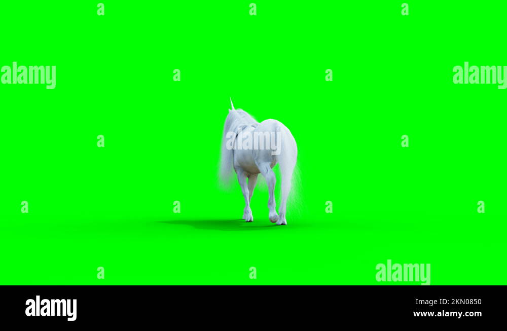 Walking white magical unicorn. Green screen realistic animation Stock