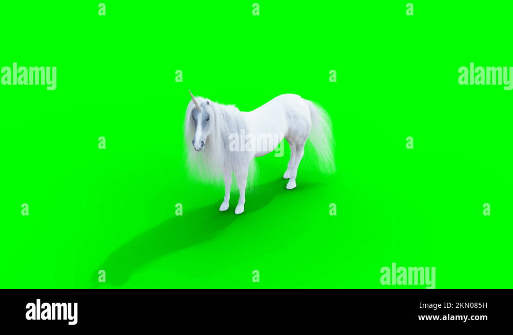 standing white magical unicorn. Green screen realistic animation Stock