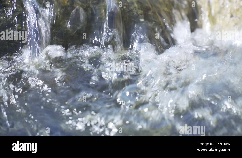 Periwinkle shell Stock Videos & Footage - HD and 4K Video Clips - Alamy