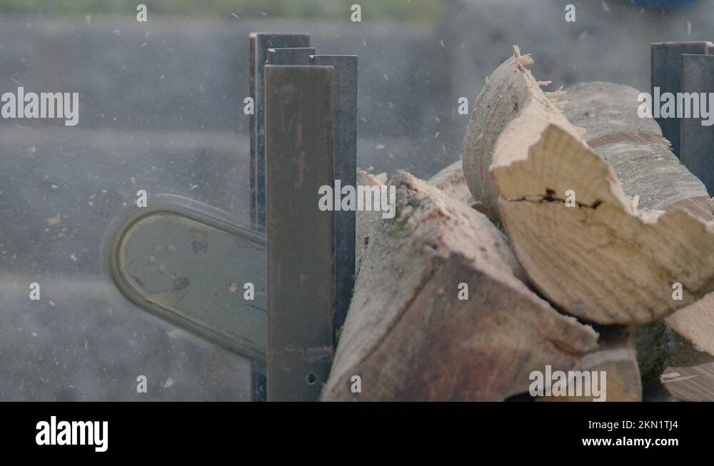 Cutting through wood with chainsaw Stock Video Footage Alamy