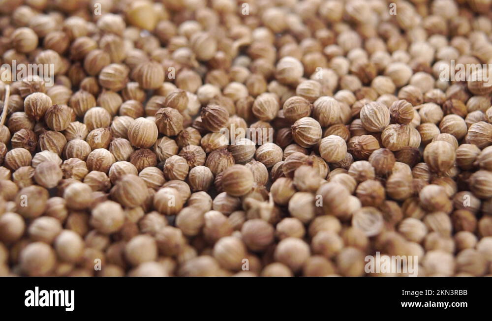 Cilantro seeds Stock Videos & Footage HD and 4K Video Clips Alamy