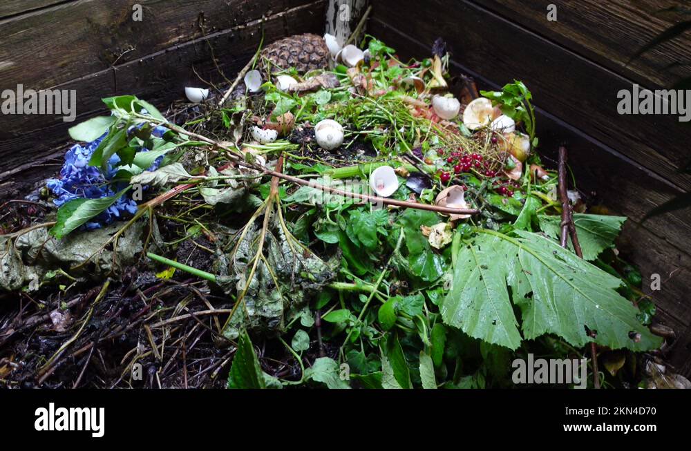 Food waste garden Stock Videos & Footage HD and 4K Video Clips Alamy