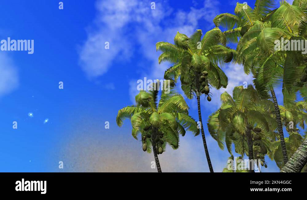 Animated palm tree Stock Videos & Footage HD and 4K Video Clips Alamy