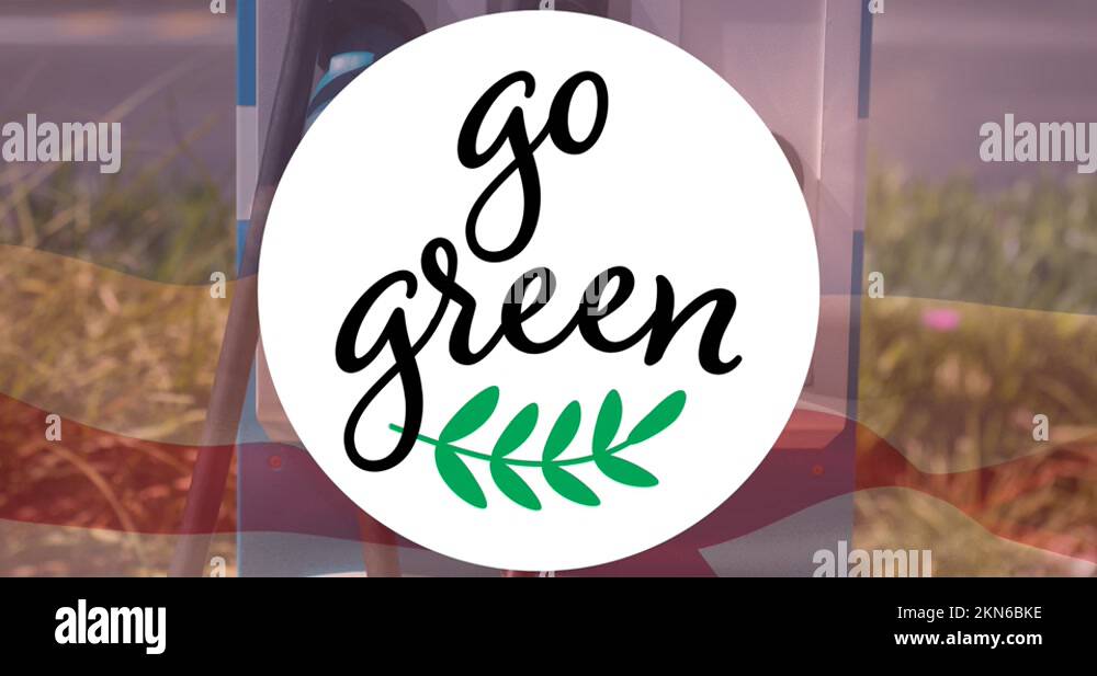 Car green flag Stock Videos & Footage HD and 4K Video Clips Alamy