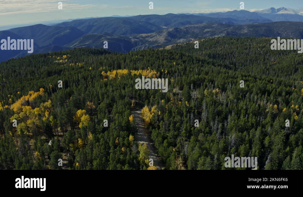 Car driving through aspens Stock Videos & Footage HD and 4K Video