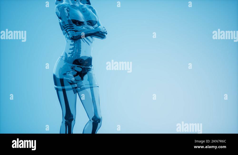 Human Skeleton Radiography Medical Scan Stock Video Footage - Alamy