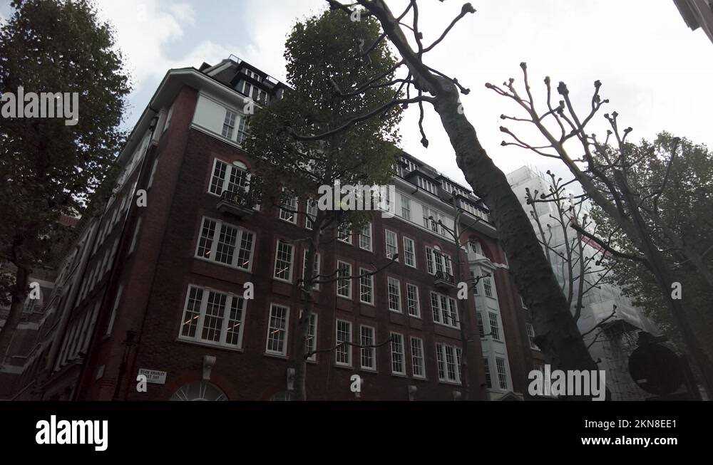 Arborist Climbing Tree Stock Videos Footage Hd And 4k Video Clips