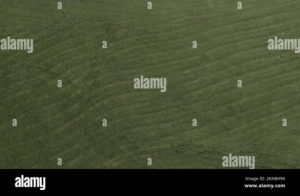 Lawn patterns Stock Videos & Footage - HD and 4K Video Clips - Alamy