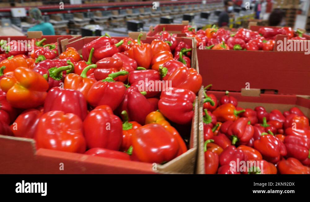 Bell production Stock Videos & Footage HD and 4K Video Clips Alamy