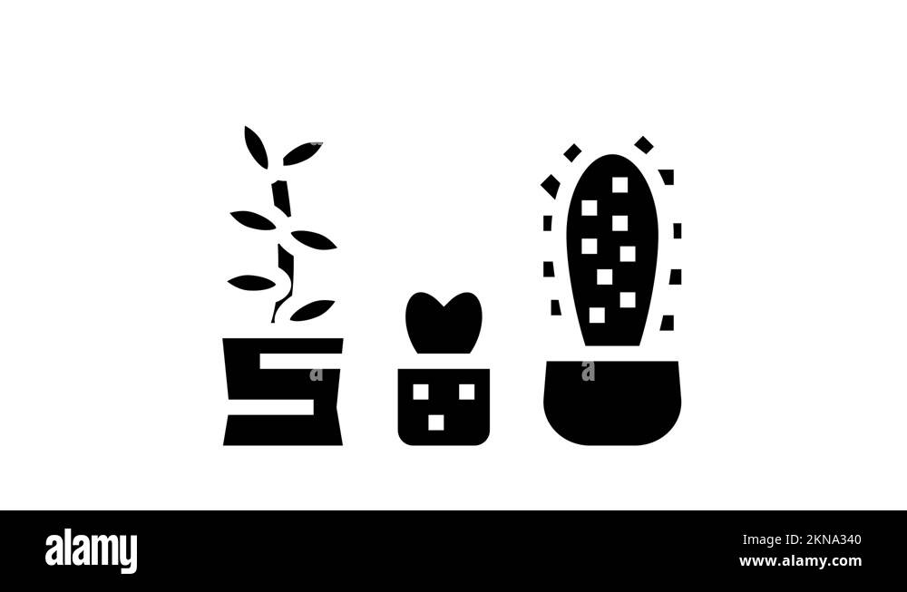 Cactus house Stock Videos & Footage HD and 4K Video Clips Alamy