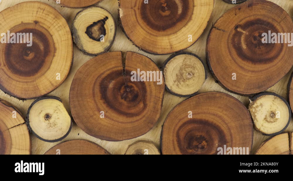 Rotation of round wooden natural cuts of trees of different sizes ...