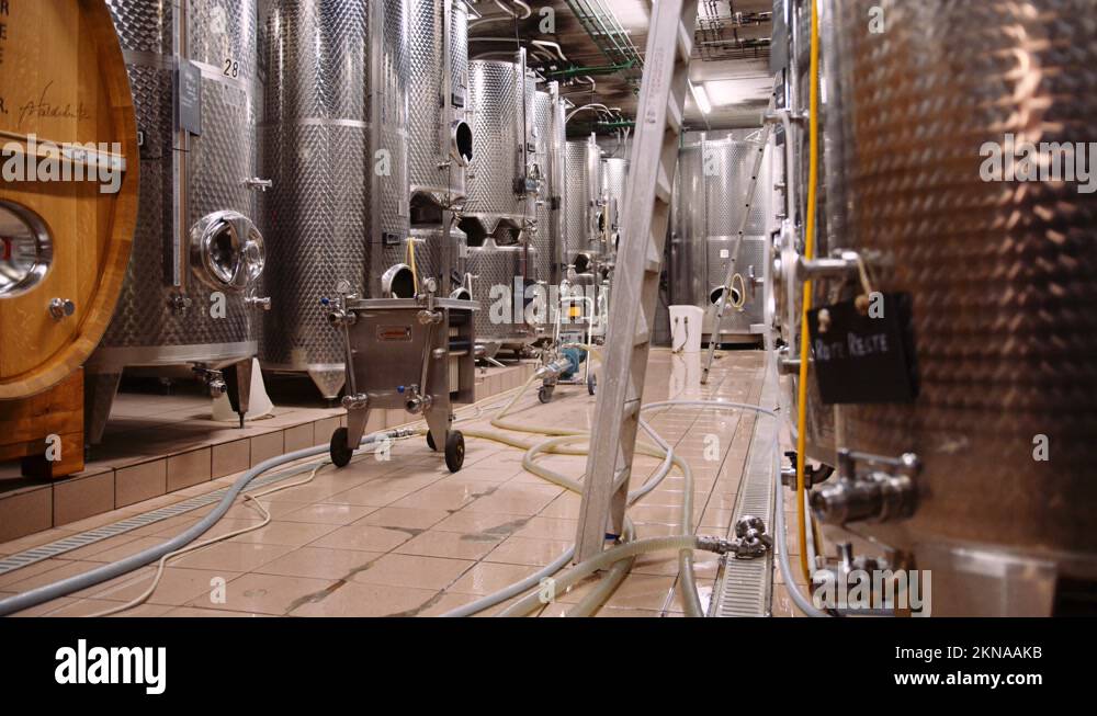 Massive stainless steel wine fermentation tanks in modern winecellar