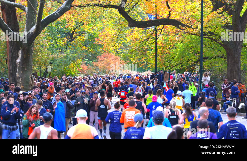 People Celebrate The 50th New York City Marathon 2021 Stock Video