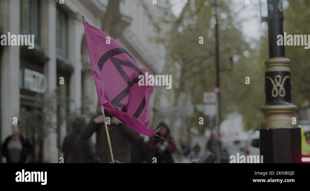 Extinction rebellion flag symbol Stock Videos &amp; Footage - HD and 4K ...