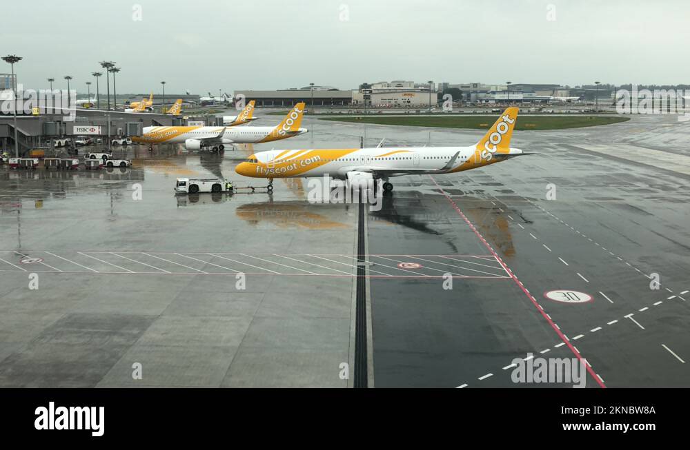 Scoot airbus a321 Stock Videos & Footage - HD and 4K Video Clips - Alamy Scoot airbus a321 Stock Videos & Footage - HD and 4K Video Clips - Alamy
