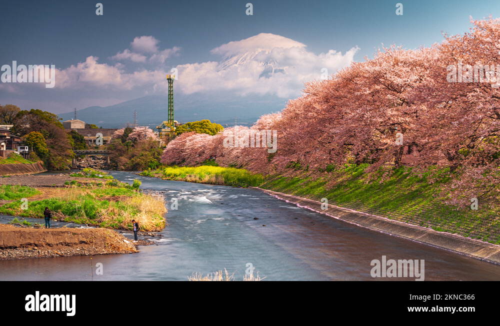 Japan mt fuji spring Stock Videos & Footage - HD and 4K Video Clips - Alamy