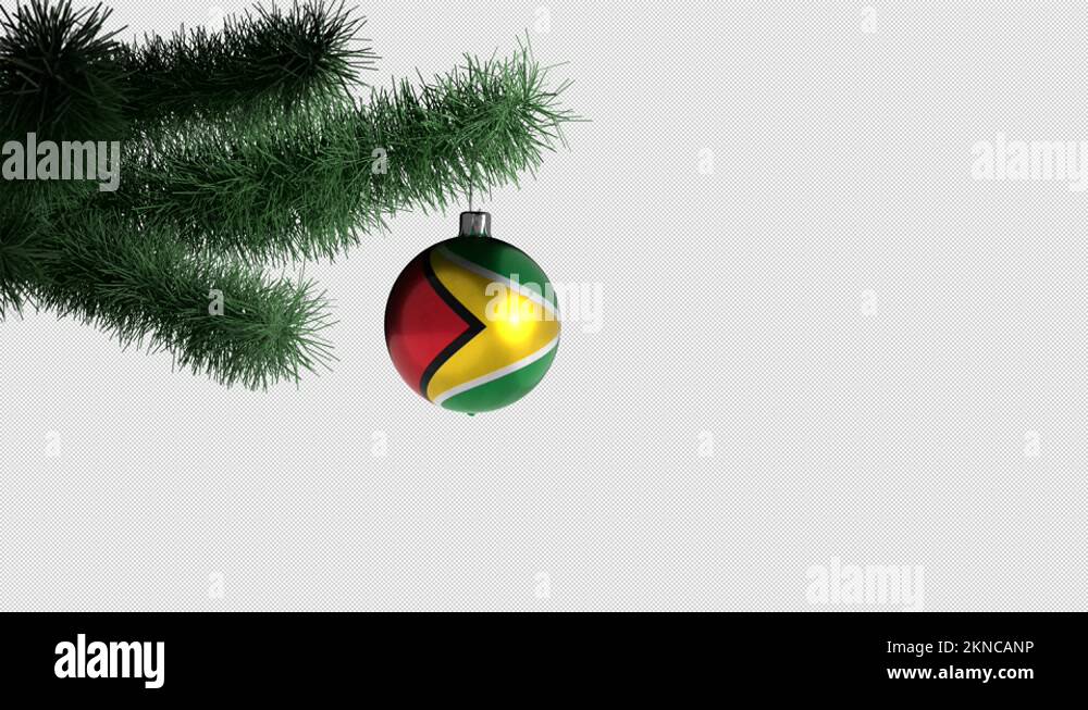 National tree of guyana Stock Videos & Footage HD and 4K Video Clips Alamy