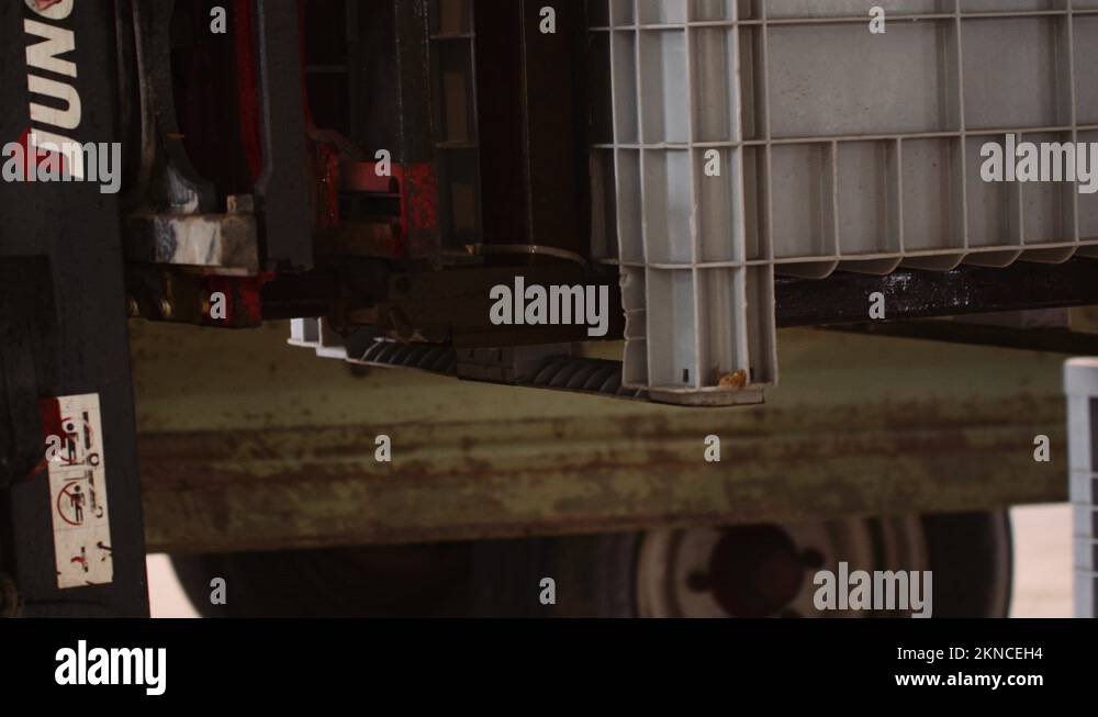 Forklift lifting harvest bin down to move it at the wine cellar; grape