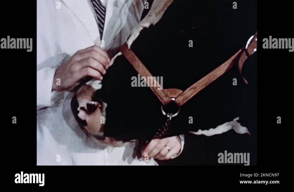 Tape on nose Stock Videos & Footage HD and 4K Video Clips Alamy