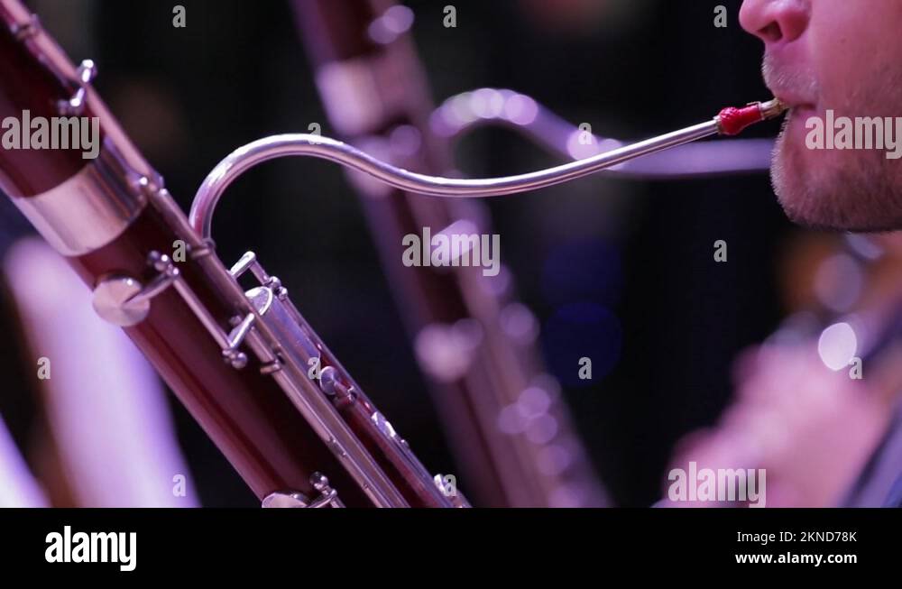Bassoon instruments Stock Videos & Footage HD and 4K Video Clips Alamy