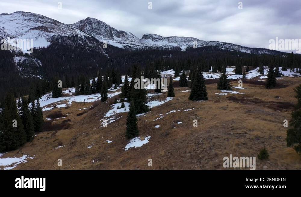 4k tree Stock Videos & Footage - HD and 4K Video Clips - Alamy
