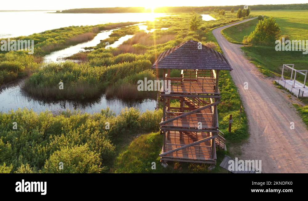 Girl climbing staircase in wetland birding hide observation tower to