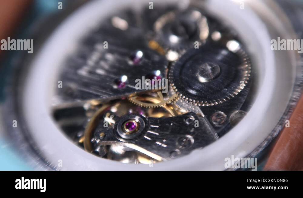 Working balance wheel, spring, and gears of a mechanical wind watch