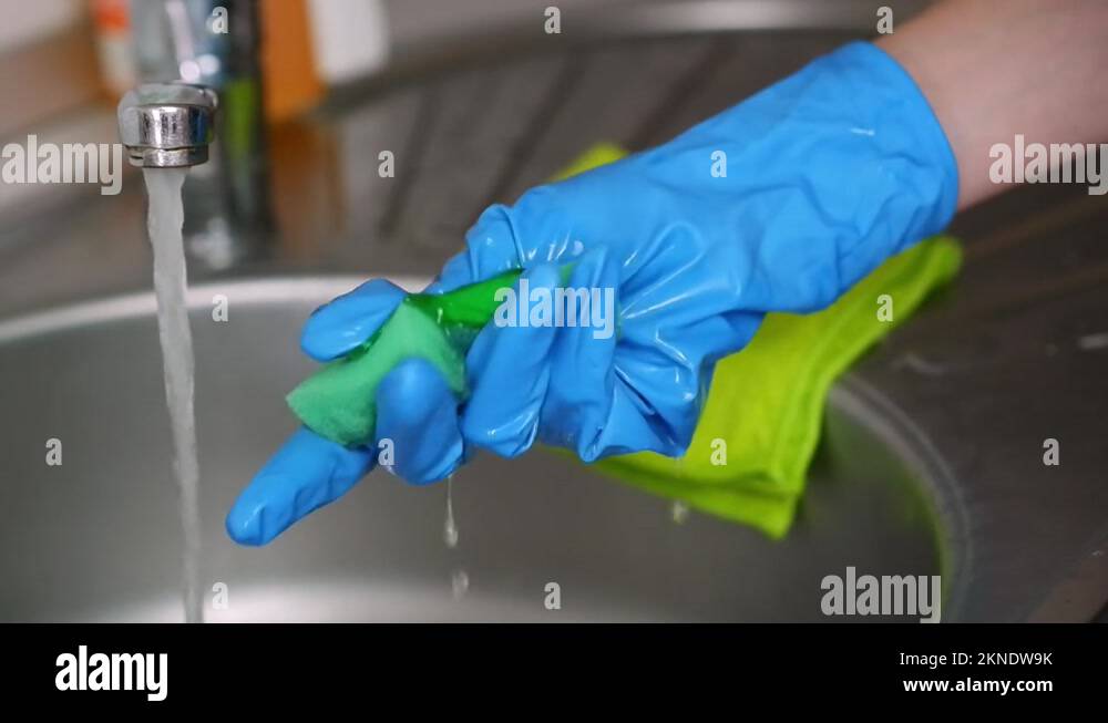 A girl in blue gloves applies a cleaning agent to a sponge and lathers ...
