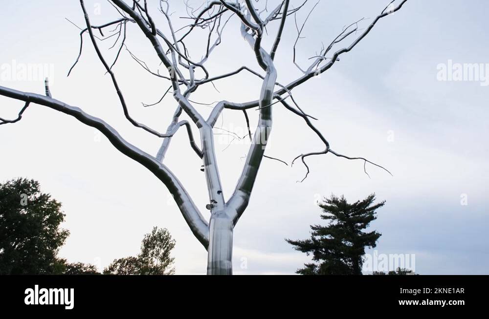 Metallic Tree sculpture next to the art museum in Forest Park, St ...