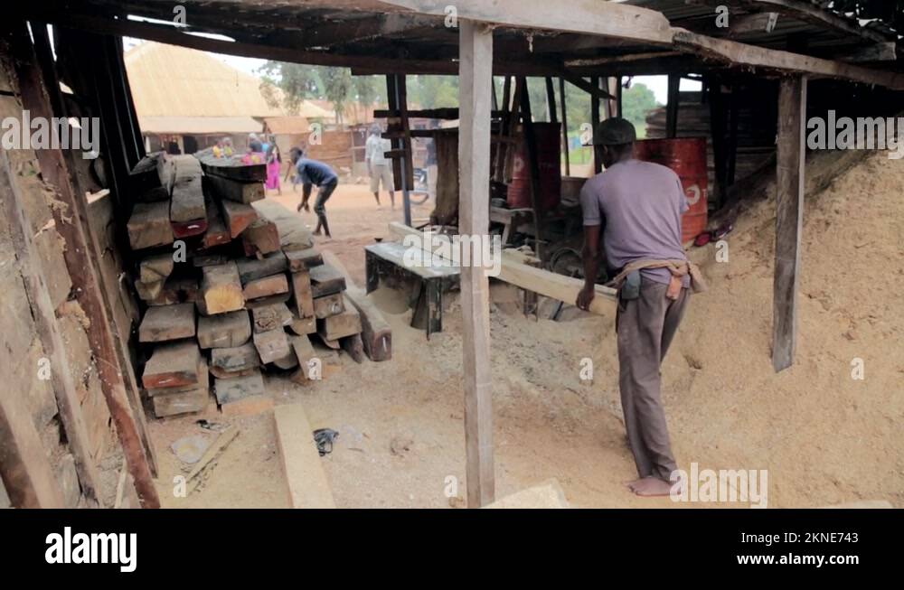 Timber lumber africa Stock Videos & Footage - HD and 4K Video Clips - Alamy