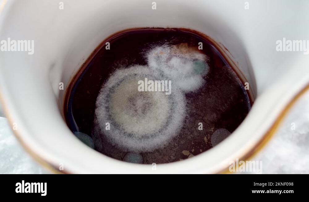 Tea stain Stock Videos & Footage HD and 4K Video Clips Alamy