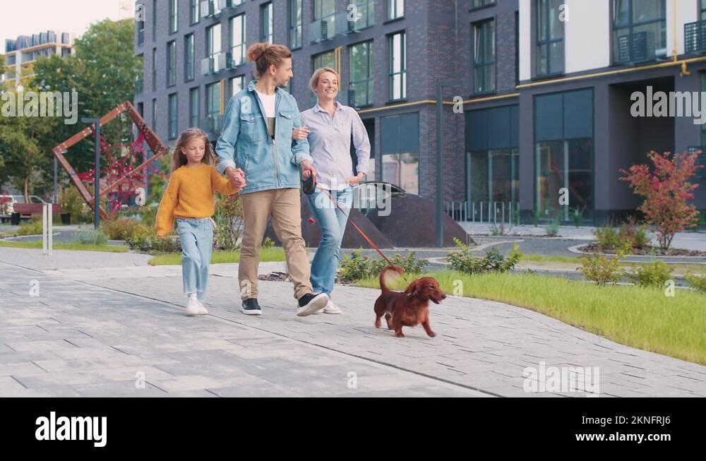 Father cuddles daughter Stock Videos & Footage HD and 4K Video Clips