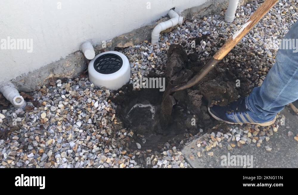 Plumber digging a hole to find water leak Stock Video Footage Alamy