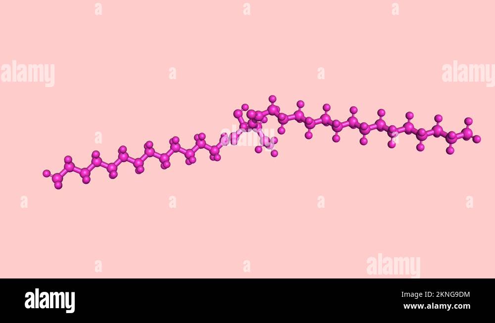 Ceramide lipid molecule Stock Videos & Footage HD and 4K Video Clips