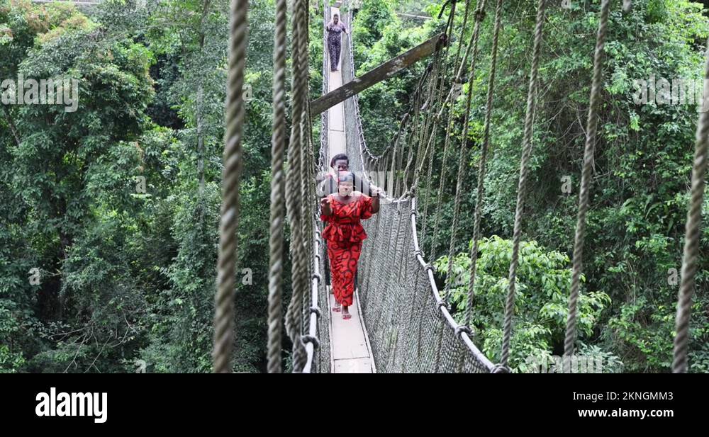 African women walking rainforest rope bridge Ghana 4K Stock Video