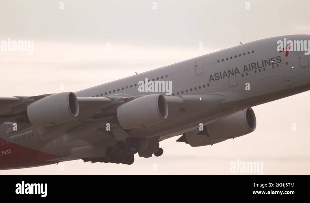 Asiana airline Stock Videos & Footage - HD and 4K Video Clips - Alamy