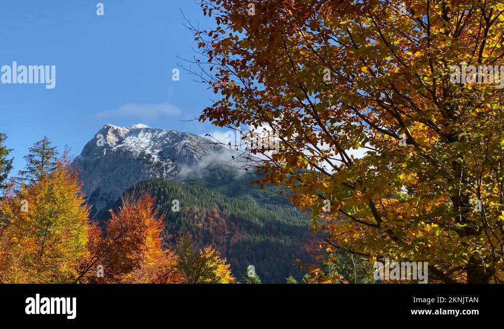 Austria autumn fall foliage Stock Videos & Footage HD and 4K Video