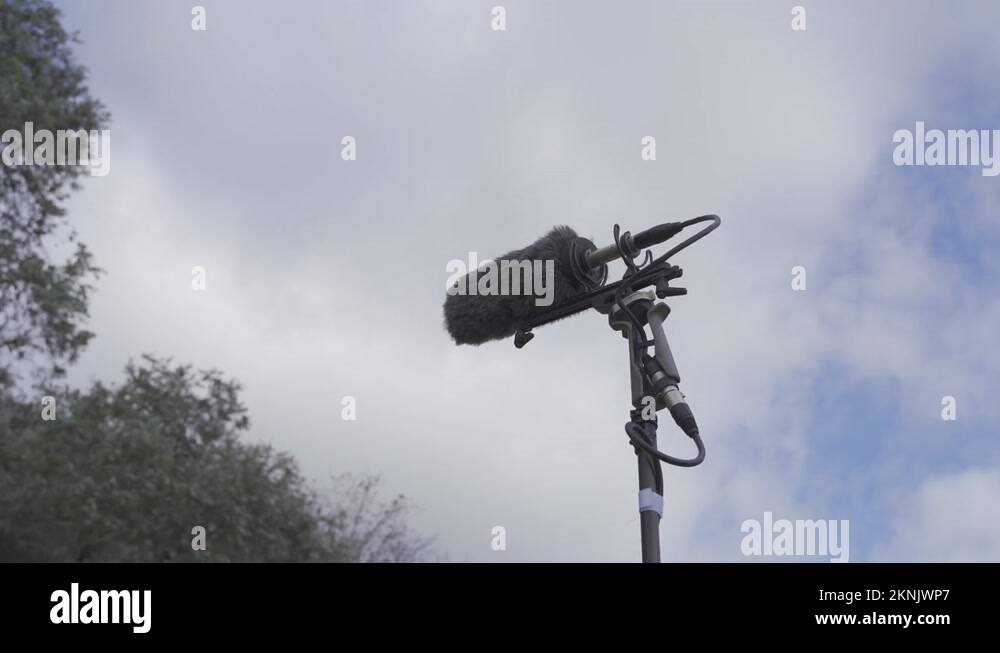 Mic in nature Stock Videos & Footage HD and 4K Video Clips Alamy
