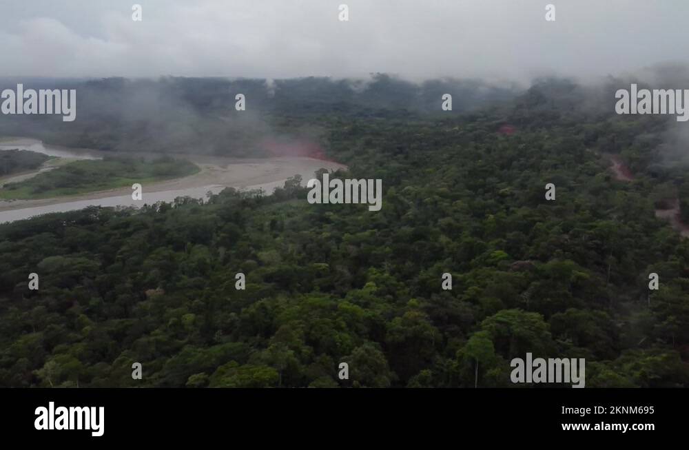 Tropical rainforest amazonia national park Stock Videos & Footage HD and 4K Video Clips Alamy