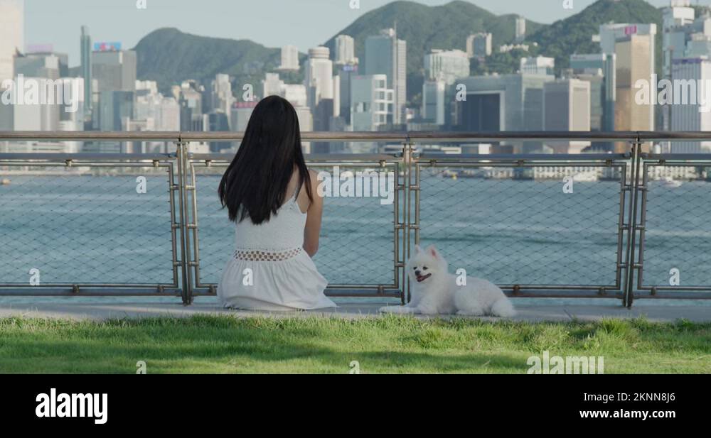 Woman bring her dog to the park in Hong Kong city Stock Video Footage