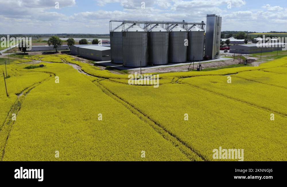 Modern Granary elevator Silver silos on agro processing and Modern Granary elevator Silver silos on agro processing and