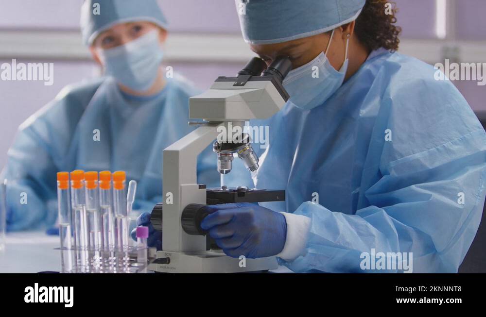 Female Lab Workers Wearing PPE Analysing Samples In Laboratory With